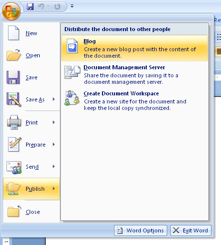 Word 2007 Blog Document
